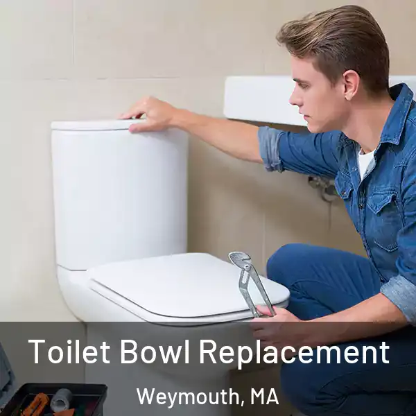  Toilet Bowl Replacement Weymouth, MA